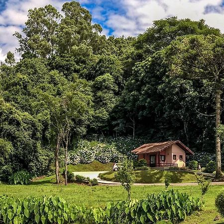 Pousada Pinhal Alto Nova Petropolis Dış mekan fotoğraf
