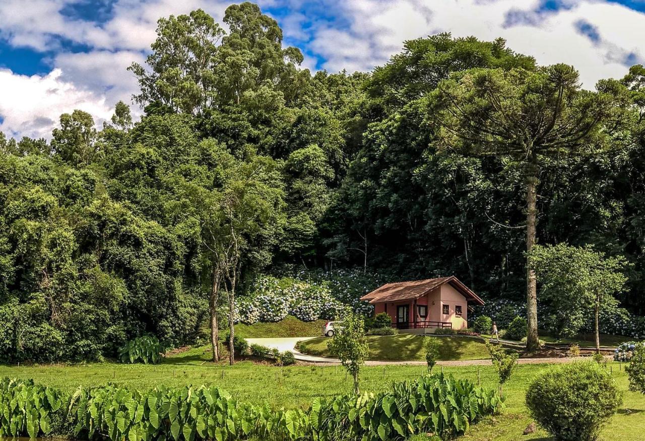 Pousada Pinhal Alto Nova Petropolis Dış mekan fotoğraf